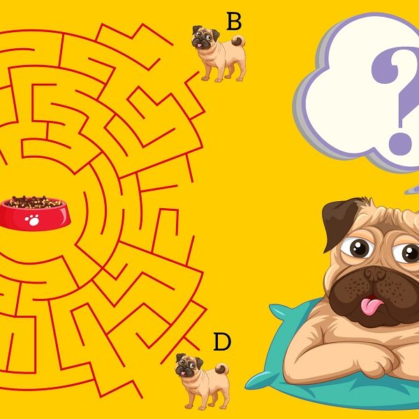 Brain teaser: Can you solve the puzzle of the pug race in 10 seconds? Prove your IQ!