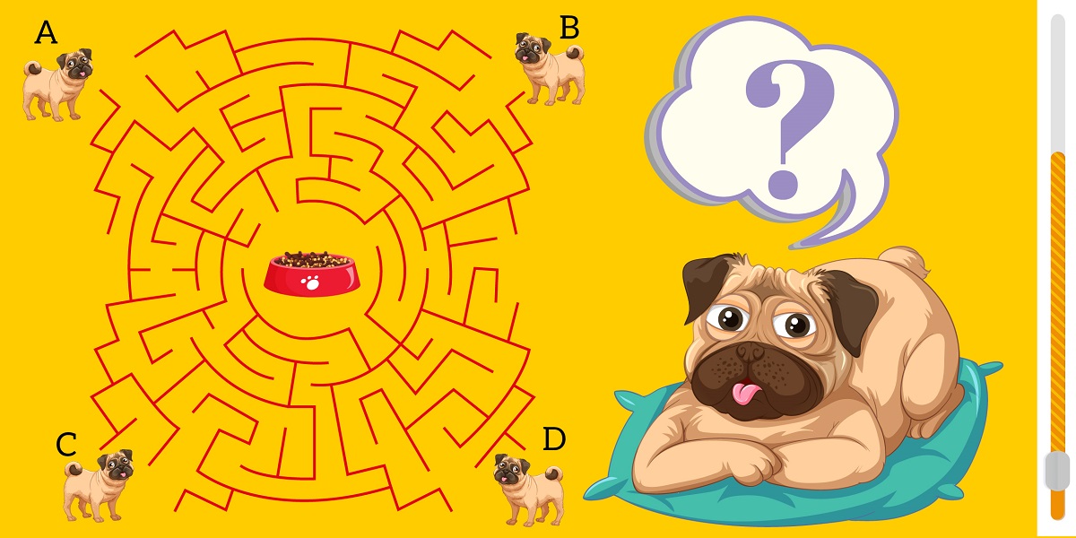 Brain teaser: Can you solve the puzzle of the pug race in 10 seconds? Prove your IQ!