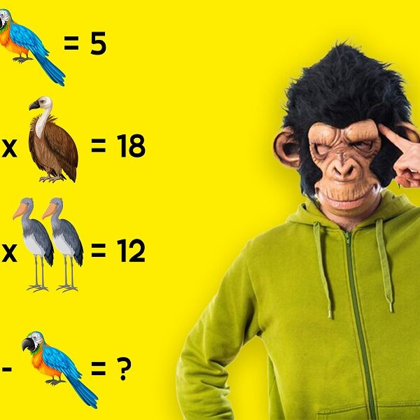 Brain Teaser: crack the code and challenge your logical thinking in 14 seconds to solve the animal equation!