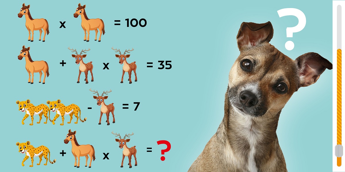 Test your IQ with this crack the code animal brain teaser: solve the equation in 8 seconds!