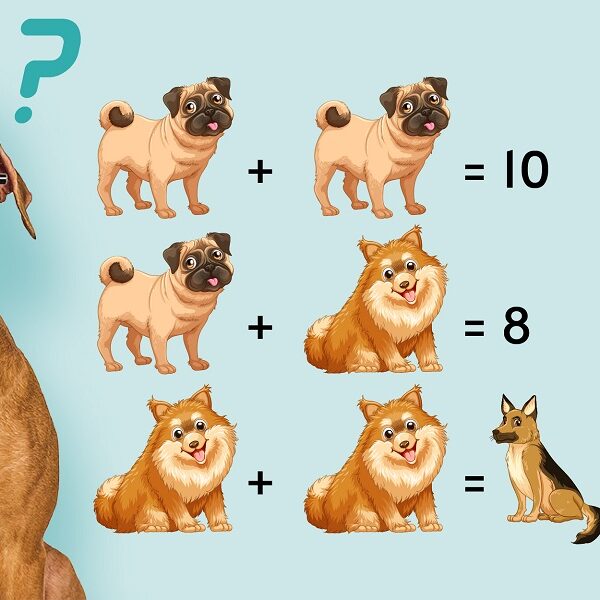 Brain Teaser: can you crack the code and solve this animal equation in just 10 seconds?