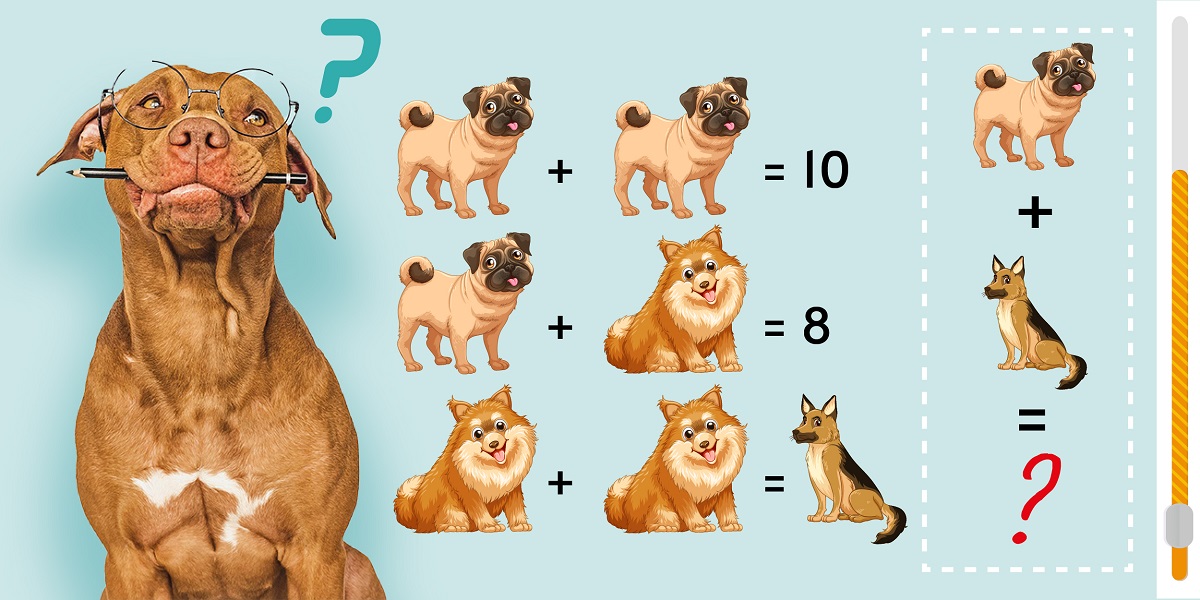 Brain Teaser: can you crack the code and solve this animal equation in just 10 seconds?