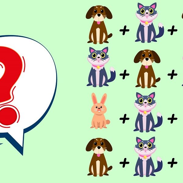 Brain teaser: prove your genuis IQ and crack the code and solve the animal equation in 13 seconds!