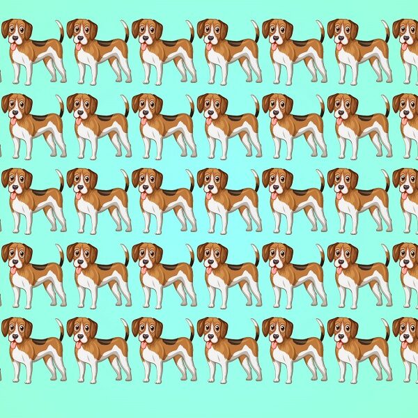 Can you spot the odd one out in less than 12 seconds? Challenge your visual acuity with this dog-filled brain teaser!