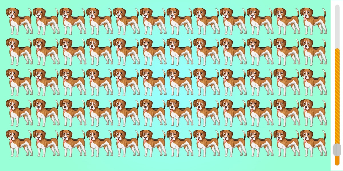 Can you spot the odd one out in less than 12 seconds? Challenge your visual acuity with this dog-filled brain teaser!