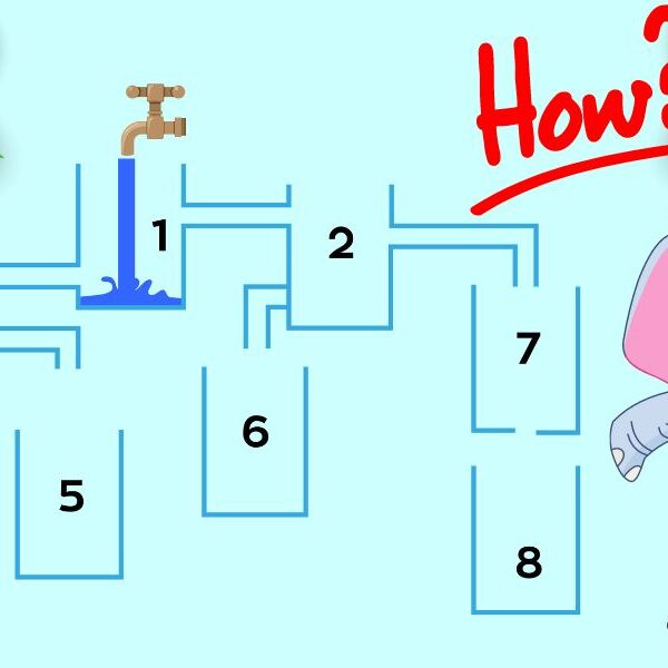 Brain teaser: can you solve this thirsty elephant challenge in 5 seconds and prove your genius IQ?