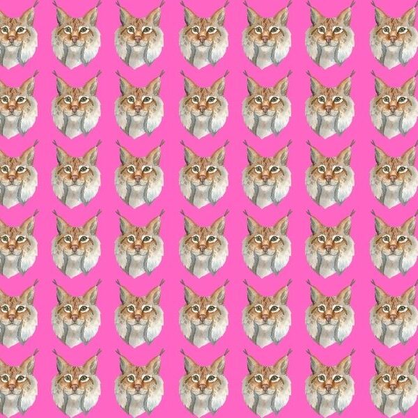 Can you spot the odd one out in 8 seconds? Challenge yourself to beat the 3% – find the lynx that doesn’t belong!