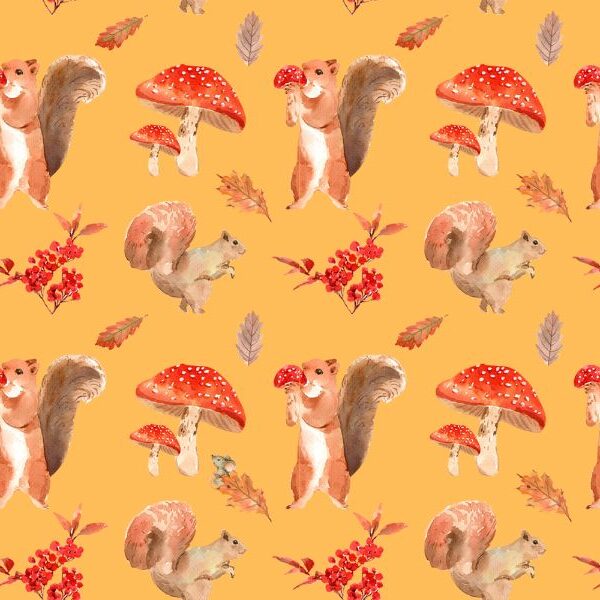 Find the mouse brain teaser challenge: can you spot it in 4 seconds or less?