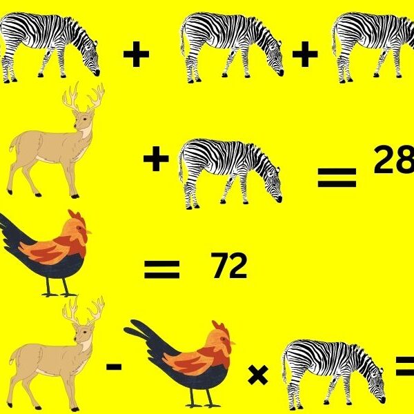 Test your IQ with this crack the code animal brain teaser in just 7 seconds!