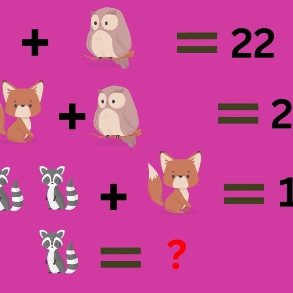 Are you a genius? Test your IQ with this crack the code animal brain teaser in 4 seconds!