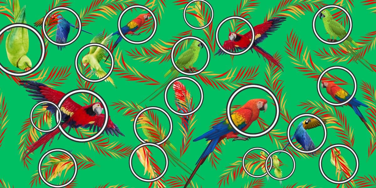Brain teaser challenge: can you spot all the parrots in 13 seconds or less?