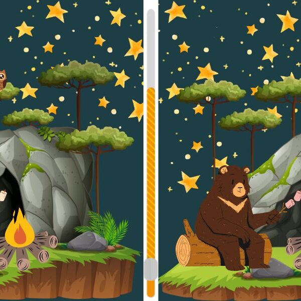 Can you spot the 6 differences in the bear scenes in 12 seconds? Take the challenge now!