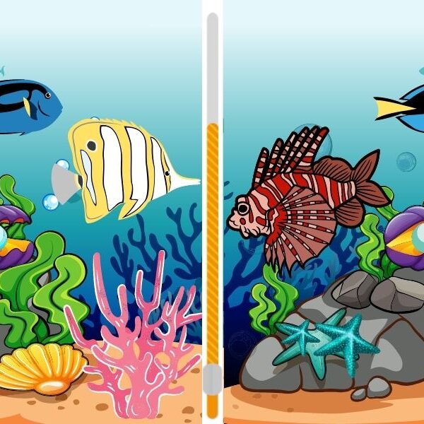 Can you spot the difference challenge in under 10 seconds? Two fishy scenes with 5 hidden differences waiting to be found!