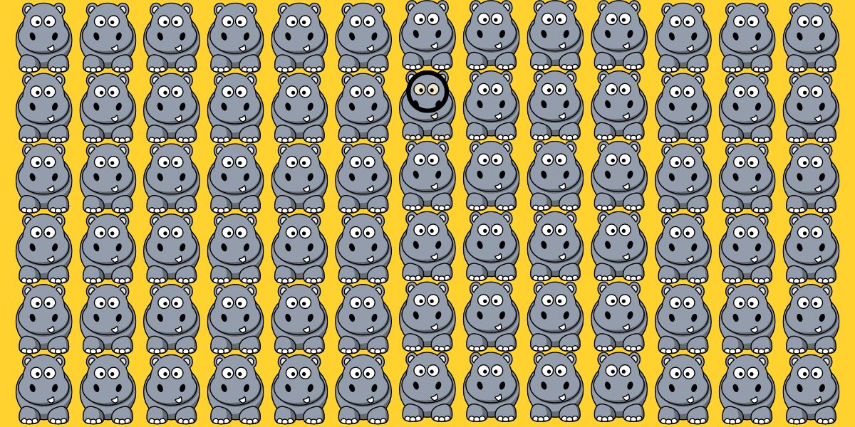 Can you spot the odd one out in 6 seconds? Only 4% of people can beat this hippo challenge!