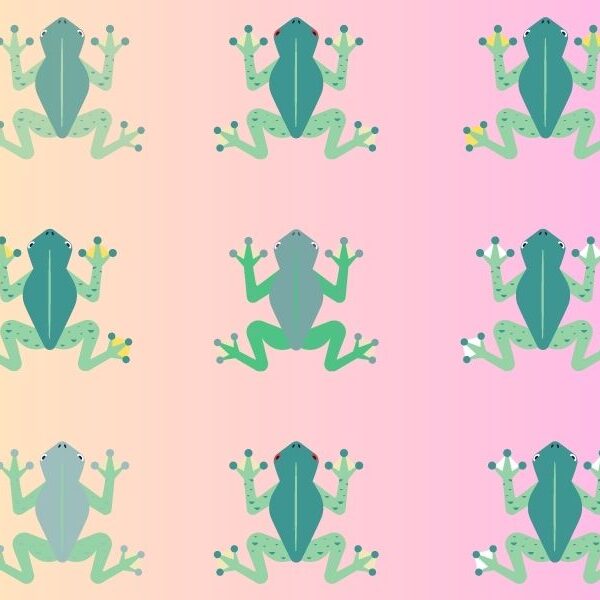 Can you spot the lonesome tree frog? Only 6% of people can beat this 8 second brain teaser twinless challenge!