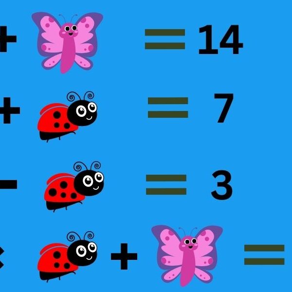 Test your IQ with this crack the code animal brain teaser in 9 seconds. Only the highest IQ can beat the challenge!