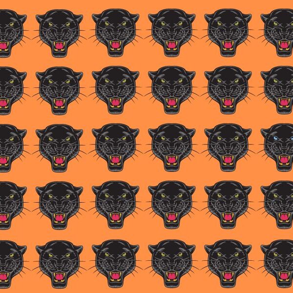 Can you spot the odd one out in 7 seconds?Challenge your friends to beat the 4% who can pass this panther-finding test!