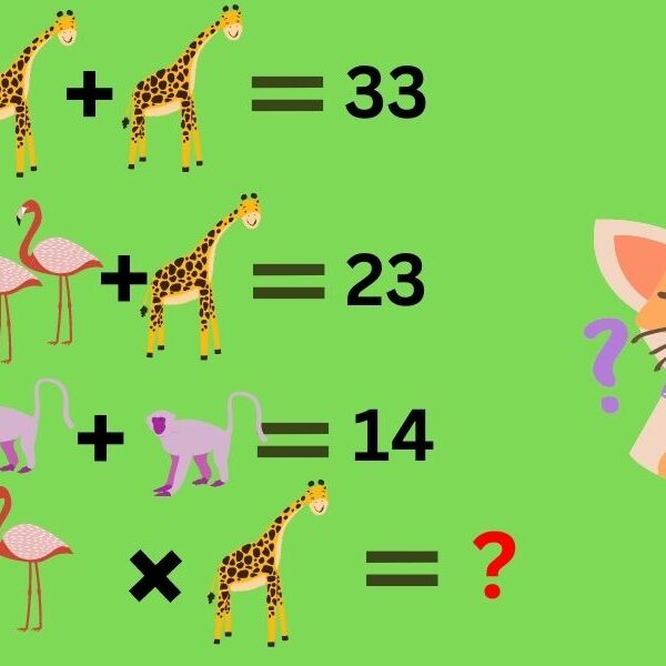 Test your IQ with this crack the code animal brain teaser in 5 seconds!