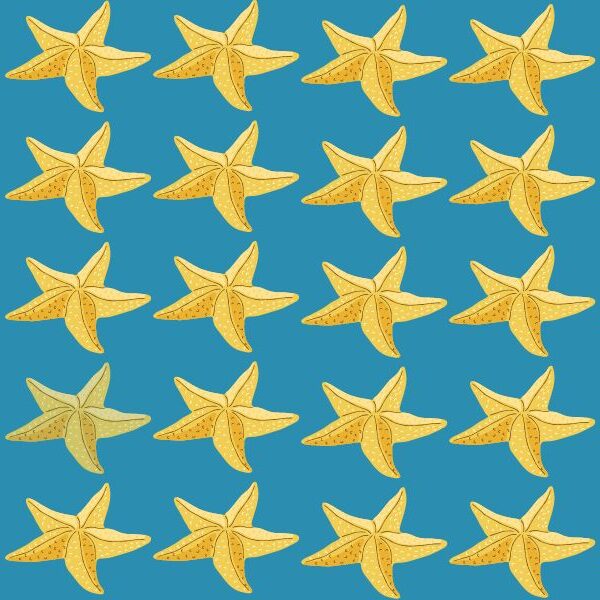 Can you spot the odd one out in 6 seconds? Challenge yourself to be in the 5% who can beat the find the odd one out starfish challenge!