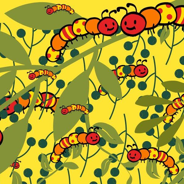 Quick thinking: can you spot all the caterpillars in 15 seconds? Brain teaser challenge!