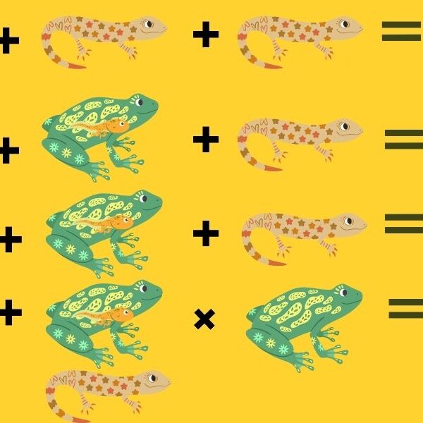 Test your genius IQ with this crack the code animal brain teaser in 10 seconds! Do you have the brainpower to succeed?