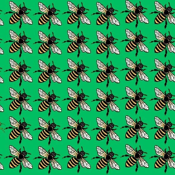 Find the wasp brain teaser challenge: can you spot it in 7 seconds or less?