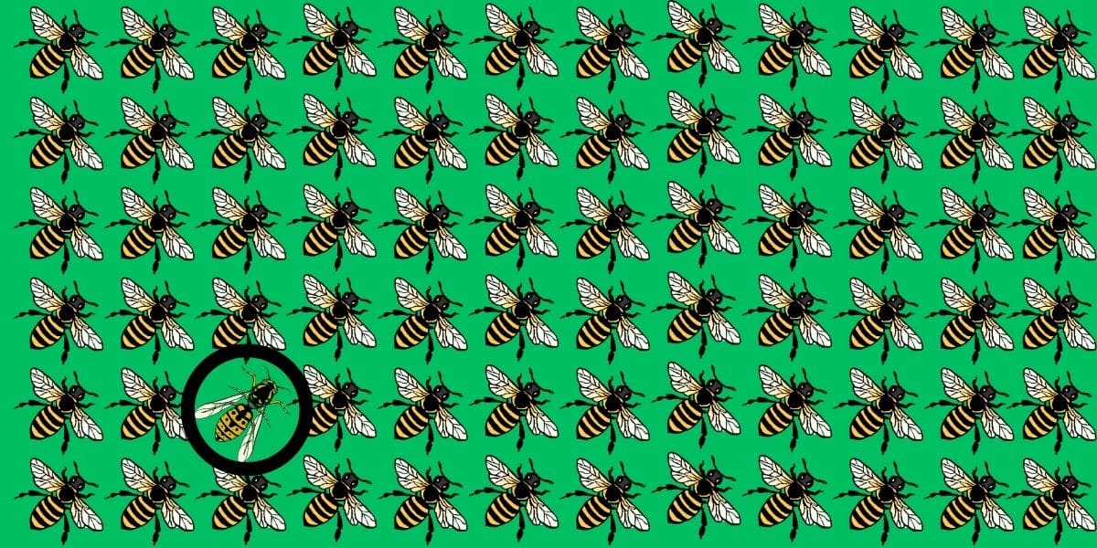 Find the wasp brain teaser challenge: can you spot it in 7 seconds or less?