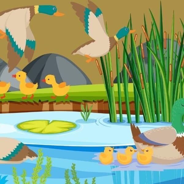 If you’re ready for a new brain teaser challenge, let’s dive into an enchanting pond scene! Can you spot the hidden mistake in this captivating image?