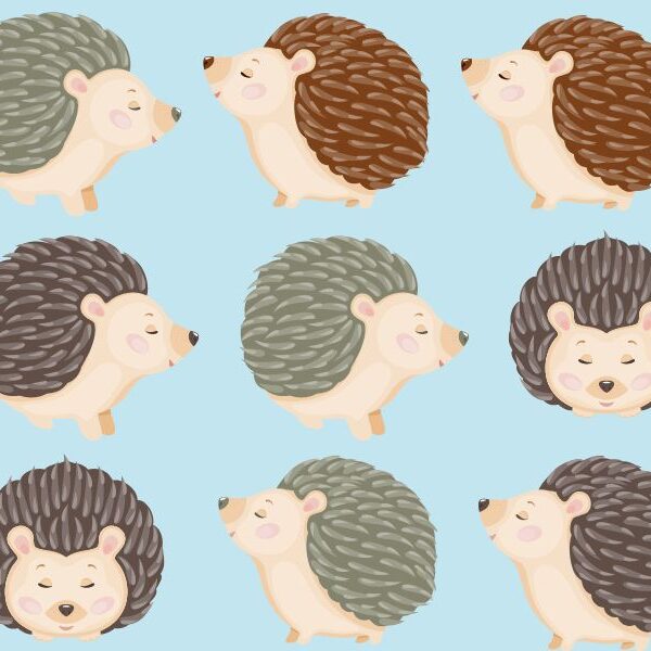 Can you spot the lonesome hedgehog? Only 7% of people can ace this brain teaser twin challenge in under 6 seconds