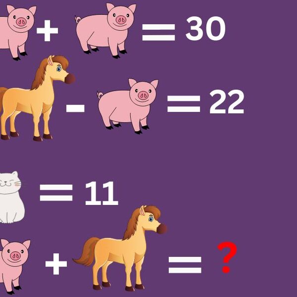 Test your IQ with this crack the code animal brain teaser in 8 seconds – can you prove your genius and beat the challenge?