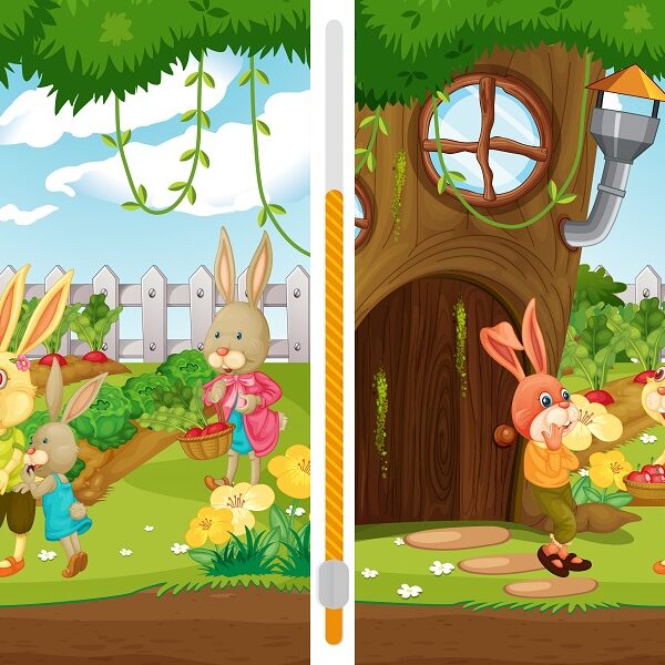 Can you spot the 7 differences between these two rabbits in 17 seconds or less? Challenge yourself with this spot the difference challenge!