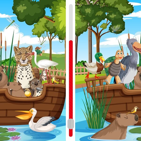 Can you spot the 3 differences in 10 seconds? Challenge yourself with this tricky animal boat difference spotter!