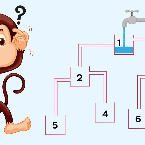 Brain teaser: can you assist this monkey and solve this water challenge in 7 seconds?