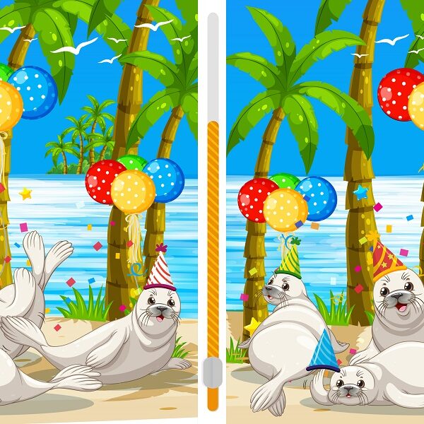 Can you spot the differences in less than 9 seconds? challenge yourself with this seal-filled spot the difference game!