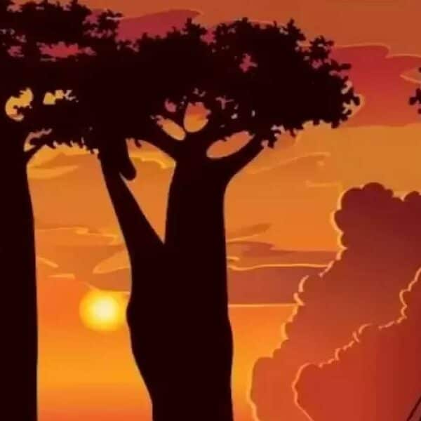 Can you spot the elusive giraffe? Mind-bending sunset optical illusion revealed!