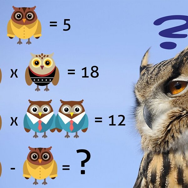 Test your IQ with this crack the code animal brain teaser: solve the equation in 7 seconds!