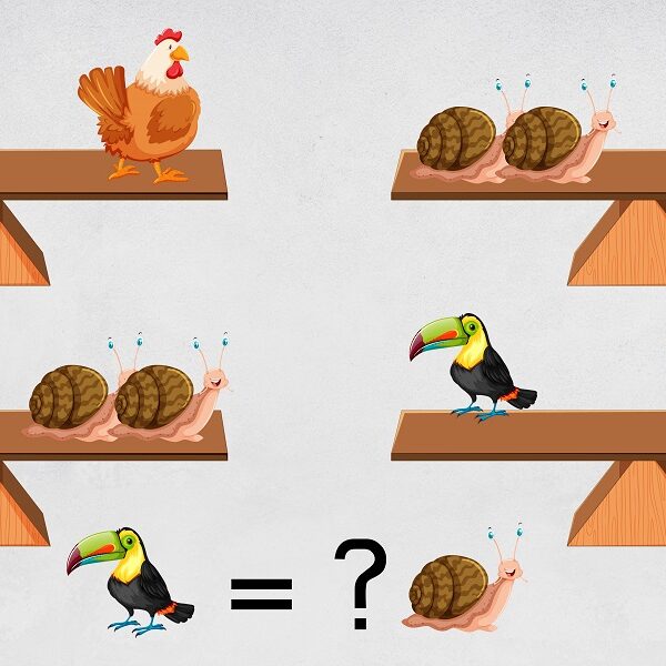 Test your iIQ with this crack the code animal brain teaser – you have just 6 seconds on the clock!