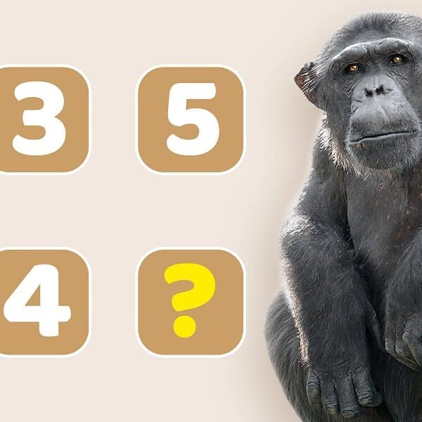 Mind-boggling brain teaser: can you solve this number sequence riddle?