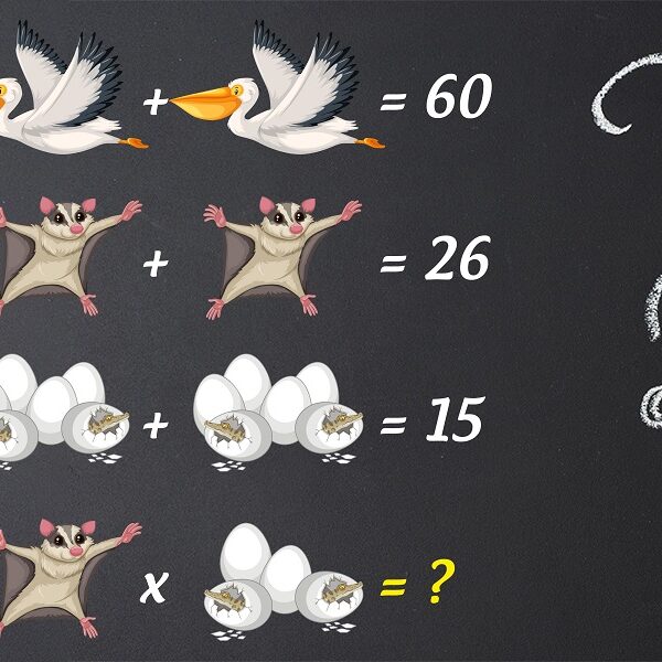 Test your IQ with this crack the code animal brain teaser in 5 seconds!