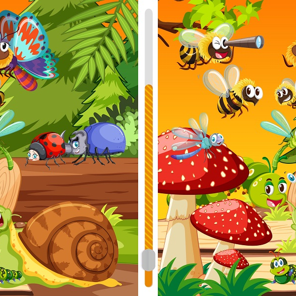 Spot the difference challenge: can you find 10 differences between two almost identical playful insects in 11 seconds?