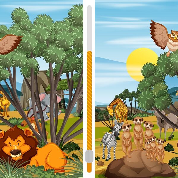 Can you spot the 5 differences in these wild animal scenes in less than 7 seconds? Accept the challenge if you dare!