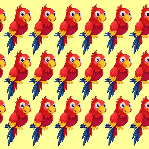 Can you spot the odd one out in under 4 seconds? only 6% of people can beat this parrot find the odd one out challenge!