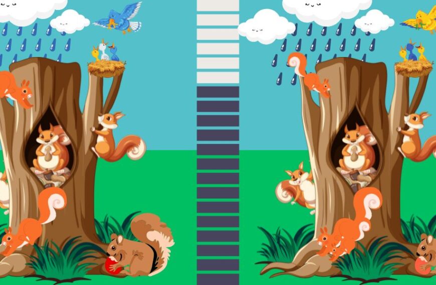 Can you spot the differences: challenge your eyes in 8 seconds or less to find 5 differences in two playful squirrels’ images!