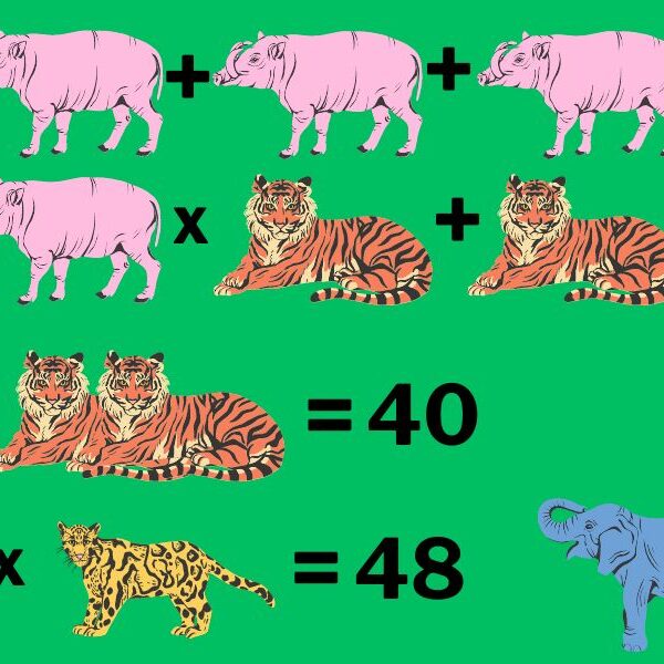 Test your IQ with this crack the code animal brain teaser – beat it in 7 seconds!