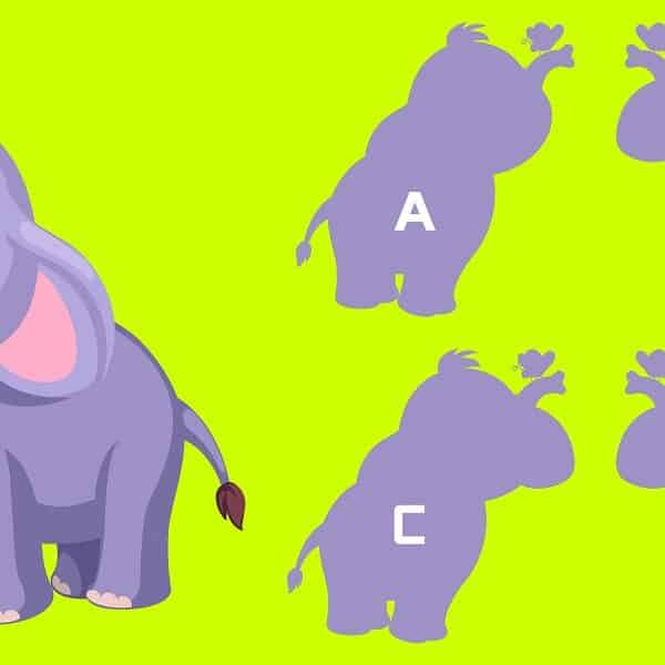 Find the correct elephant shadow brain teaser challenge in less than 3 seconds. Do you dare to test your mental capacity and genius IQ?