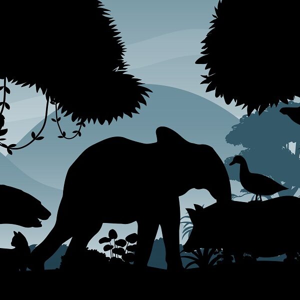 Brain teaser challenge: can you spot all the animals in less than 7 seconds?