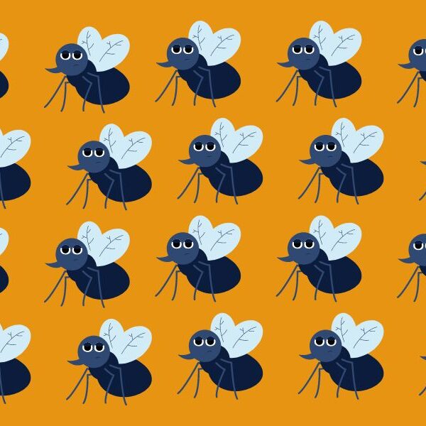 Can you spot the odd one out? Challenge yourself to find the odd mosquito in 6 seconds – only 5% of people can beat it!