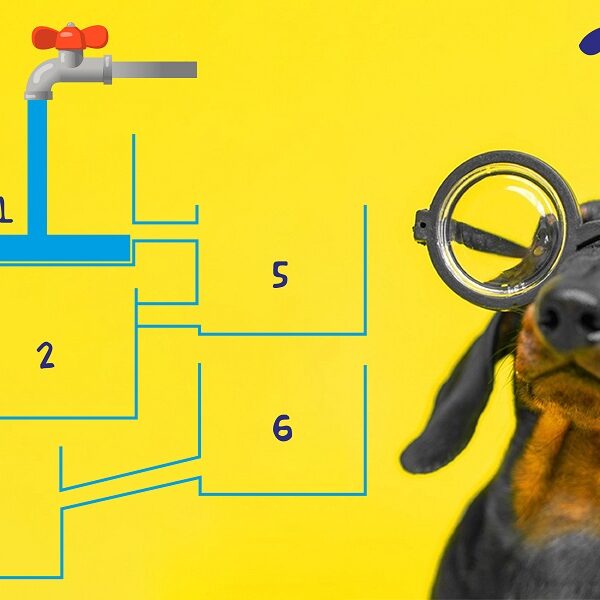 Test your genius IQ with this brain teaser: can you solve the water tank animal challenge in 4 seconds flat?